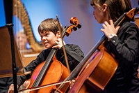 Description: Music (7)