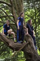 Description: Riley kids up a tree
