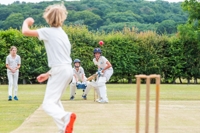 Description: Mixed Cricket