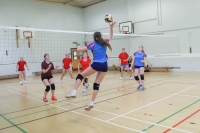 Description: Volleyball-18