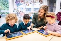 Description: Crackley 0832