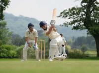 Description: cricket