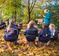 Description: Forest School Class - resized & cropped