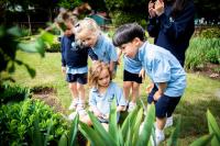 Description: Page 6 Our Curriculum Middle