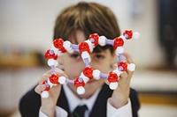 Description: Hallifod School - Celebrating the Halliford value of Intellectual Curiosity