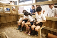 Description: Kent_College_Canterbury_Junior_School_235_72P8561