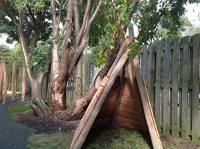 Description: Forest School. A fabulous resource for the whole school.