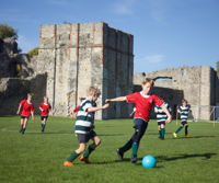 Description: football wolvesey