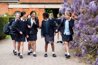 Description: 009 CAT_Wisteria_090523_0087