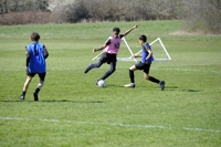 Description: MNT1530