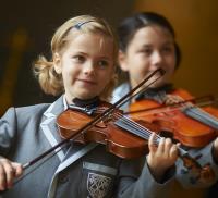 Description: TF Violin