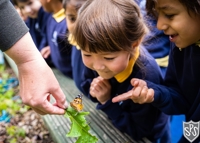 Description: Nursery