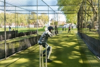 Description: cricket