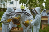 Description: Learning and co-curricular (4)